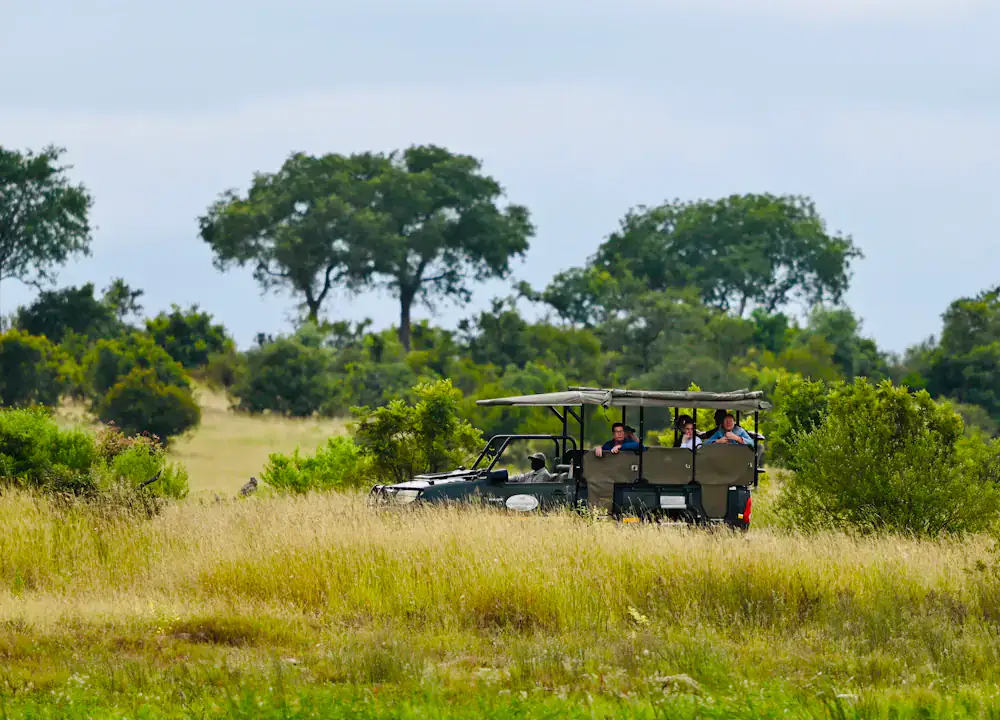 Guests travelling through an African reserve in a safari vehicle